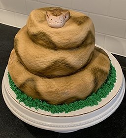 cake sculpted into the shape of a realistic looking coiled rattlesnake.